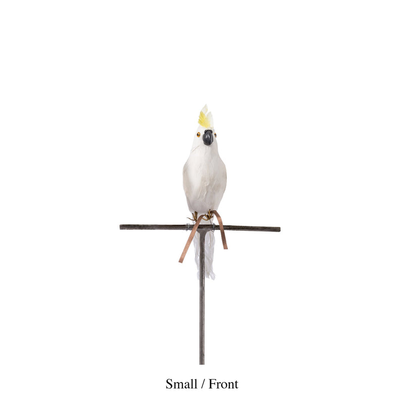 ARTIFICIAL BIRDS Parrot / Small