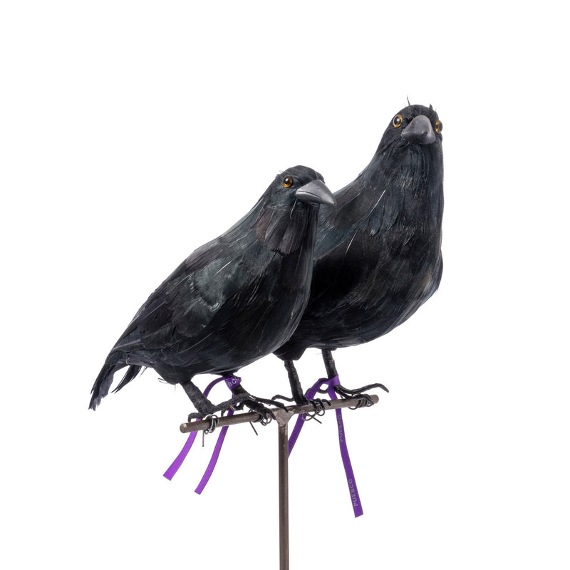ARTIFICIAL BIRDS Crow / Large