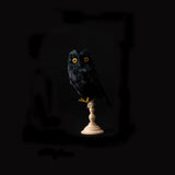 ARTIFICIAL BIRDS Owl Black